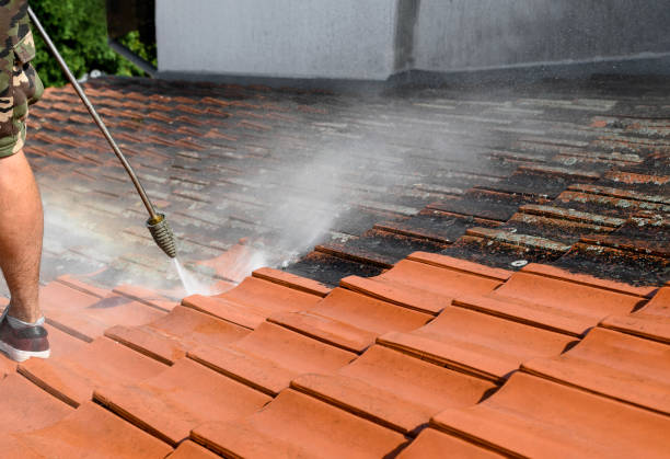 Best Affordable Power Washing  in Golden Glades, FL
