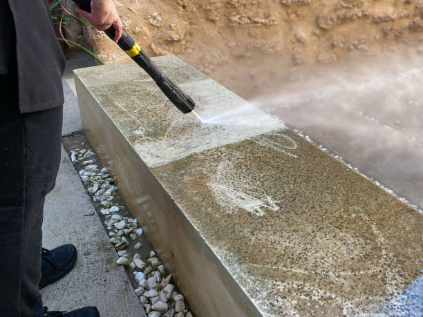 Best Roof Power Washing Services  in Golden Glades, FL