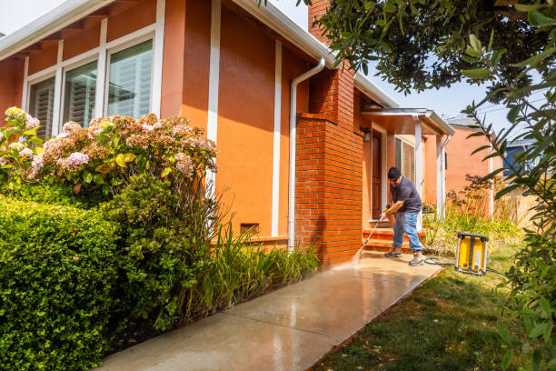 Best Pressure Washing Services Near Me  in Golden Glades, FL